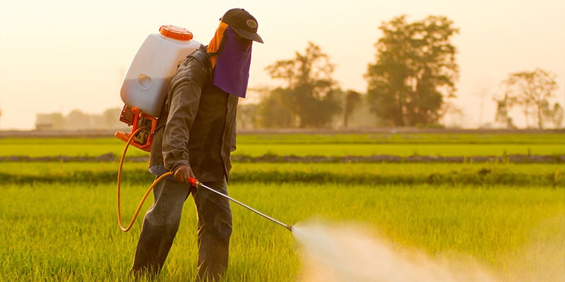 Effective Agricultural Pesticides for Crop Protection