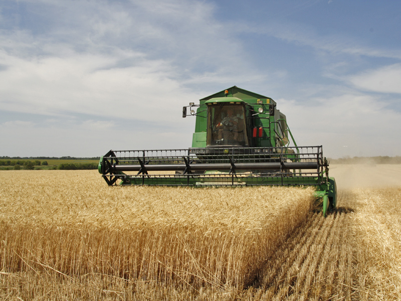 Harvest timing
