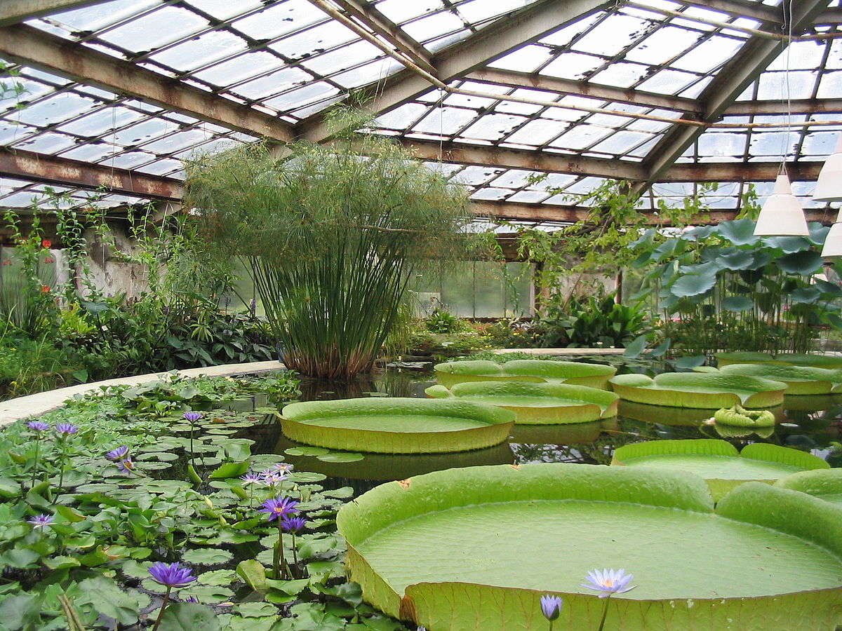 Greenhouse Division - Controlled Environment Farming