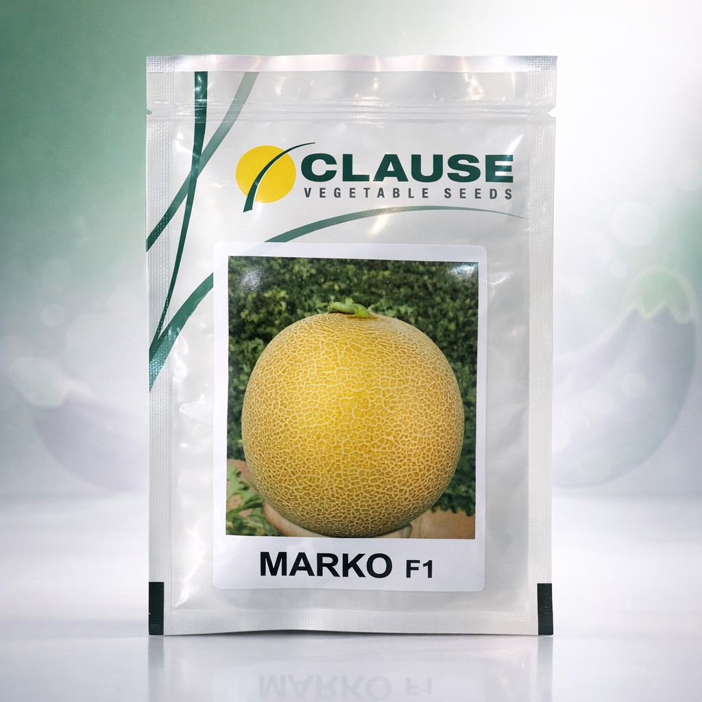 CLAUSE MARKO F1 Melon
