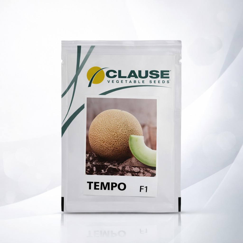 CLAUSE Tempo F1 Melon