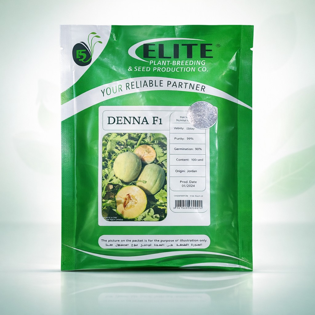 DENNA F1 Melon