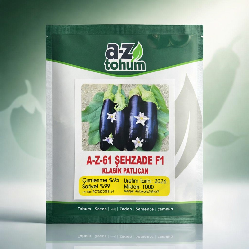 AZ-61 Şehzade F1 Klasik Patlıcan