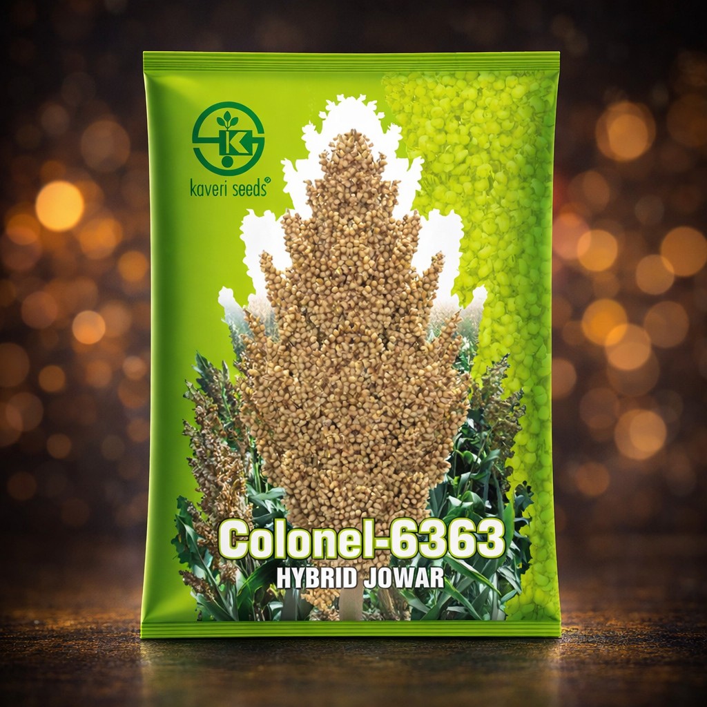 Kaveri Colonel-6363 Hybrid Jowar