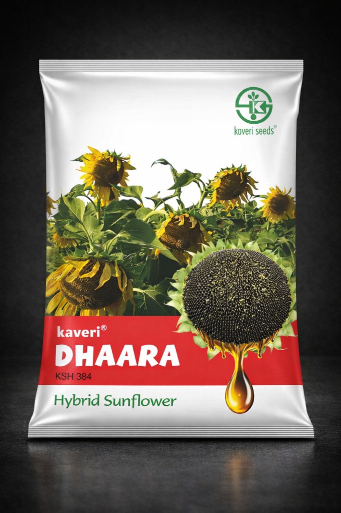 Kaveri Dhaara KSH 384 Hybrid Sunflower