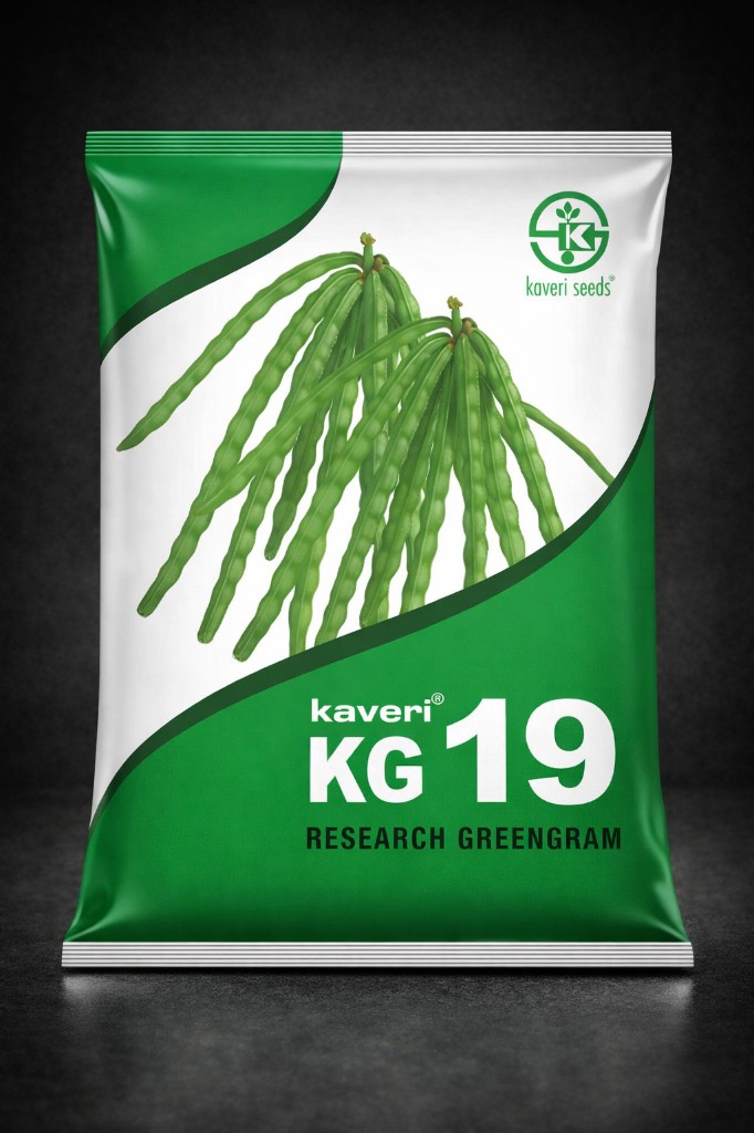 Kaveri KG 19 Research Greengram