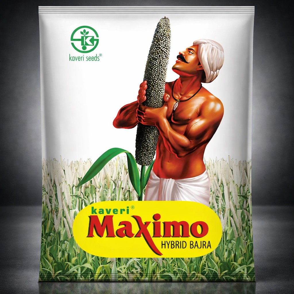 Kaveri Maximo Hybrid Bajra