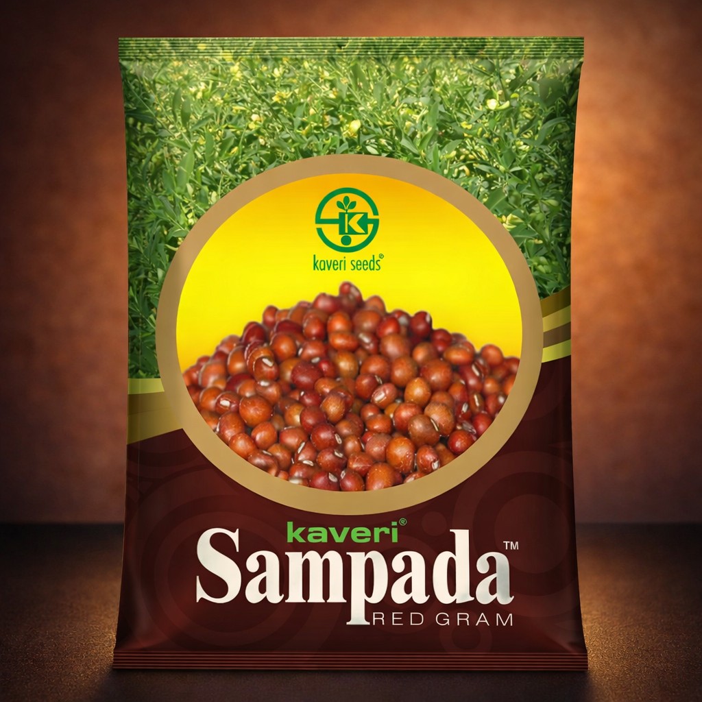 Kaveri Sampada Red Gram