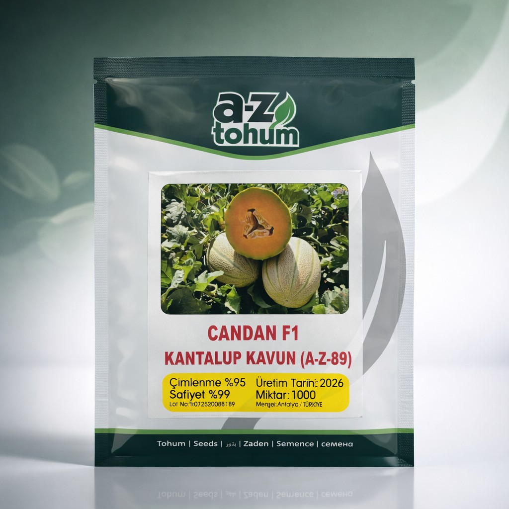 CANDAN F1 Kantalup Kavun