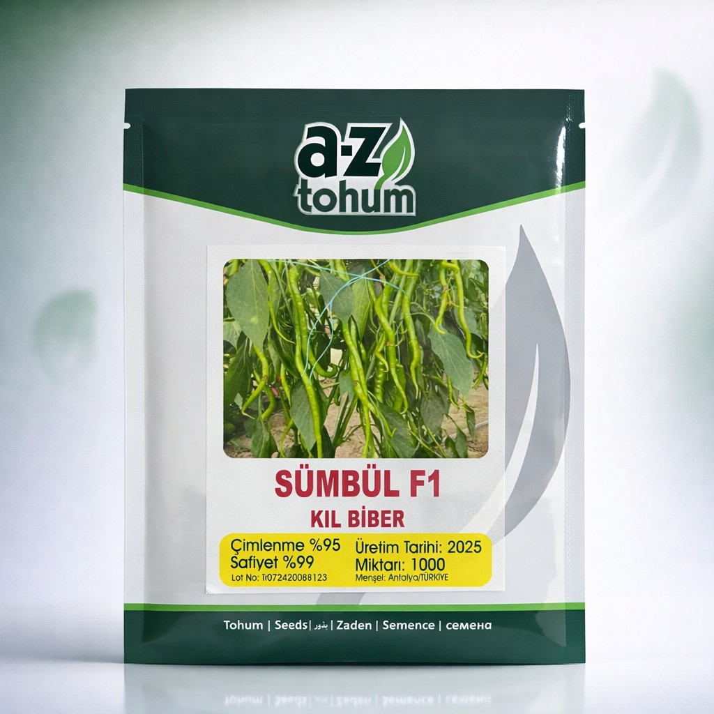 SÜMBÜL F1 Kıl Biber