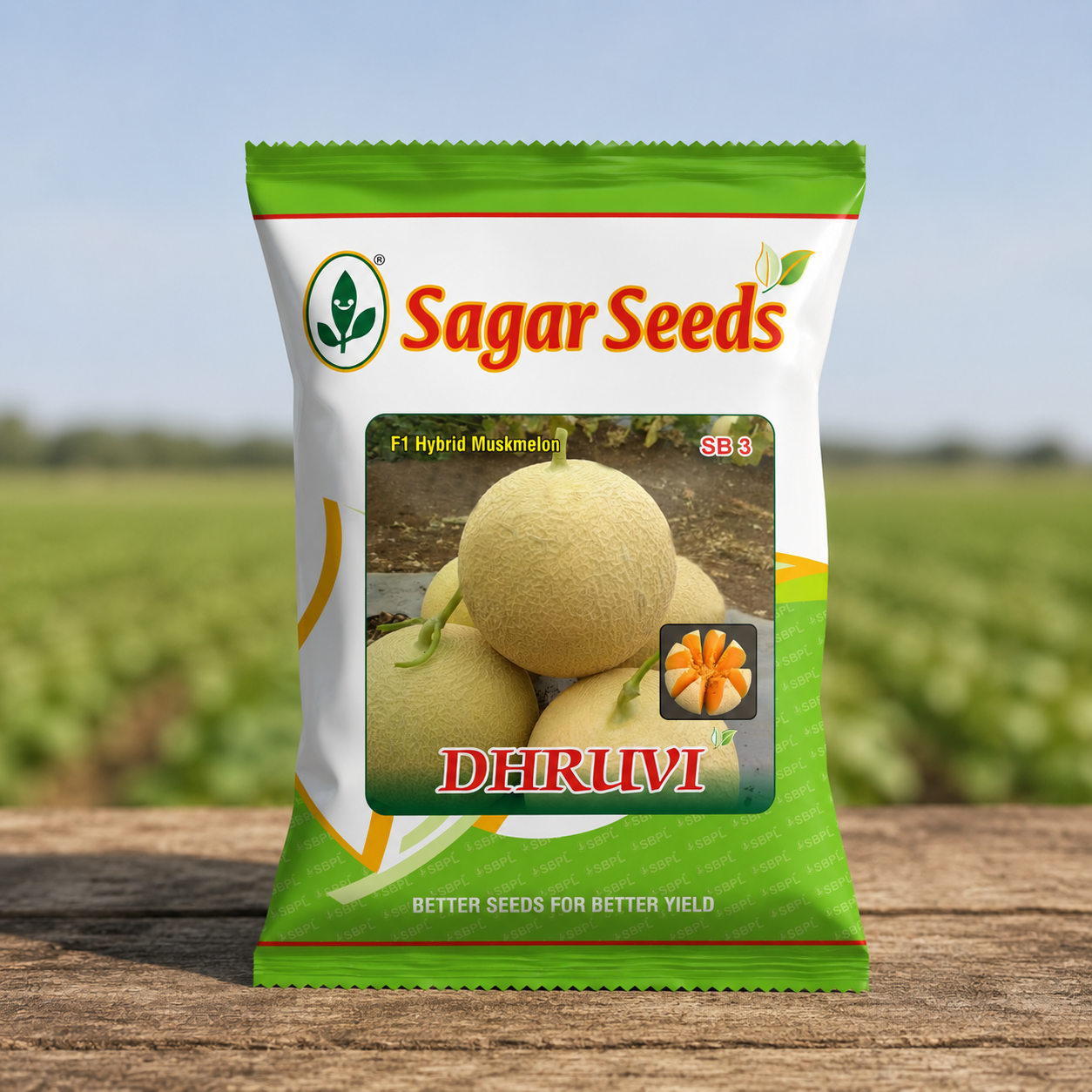 Sagar Dhruvi Muskmelon