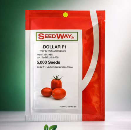 SeedWay Dollar F1 Hybrid Tomato