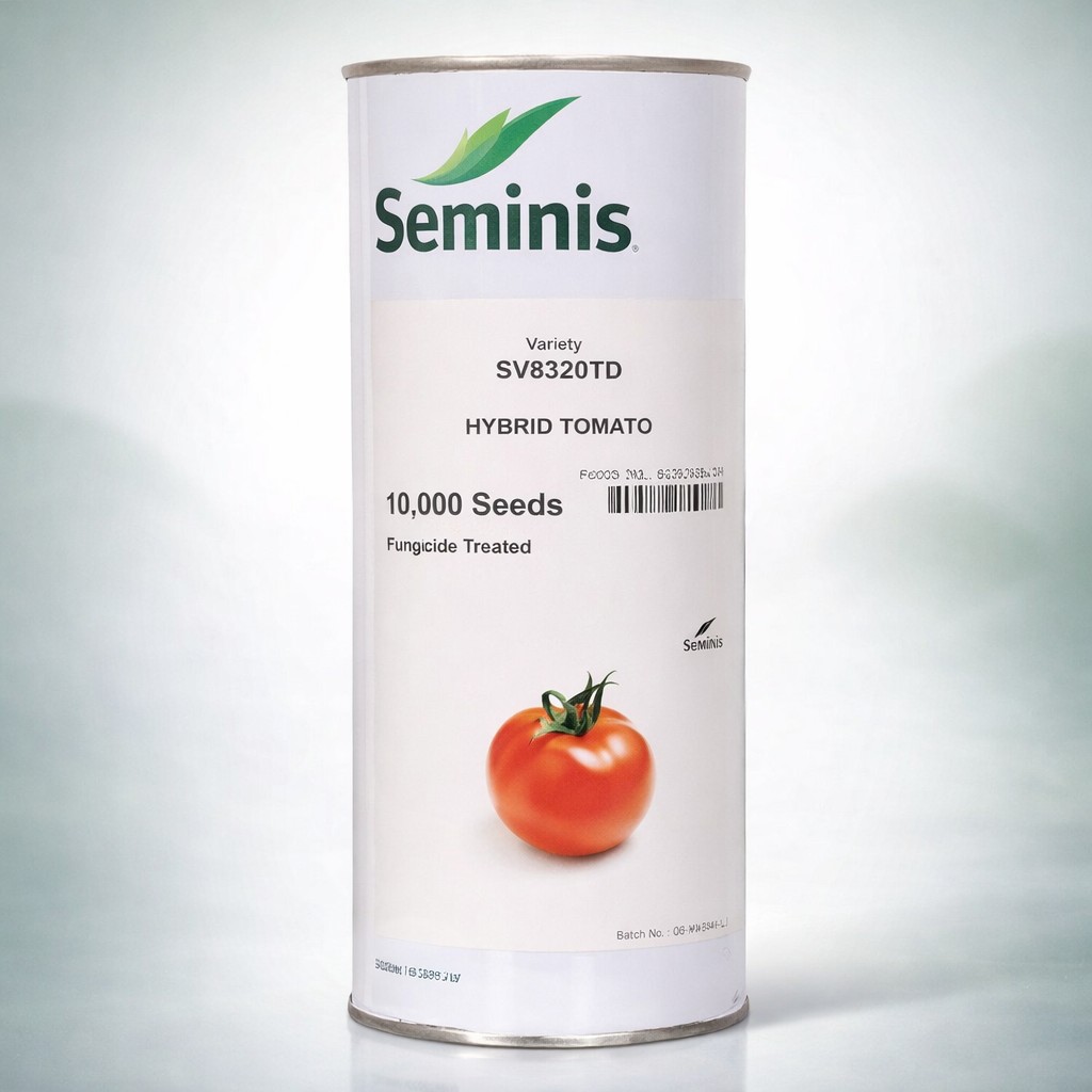 Seminis Hybrid Tomato SV8320TD
