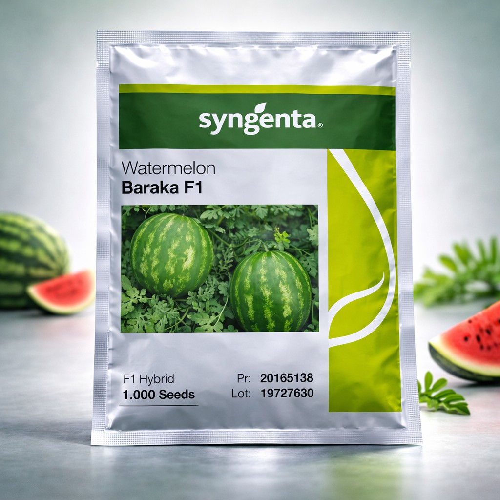 Syngenta Watermelon Baraka F1
