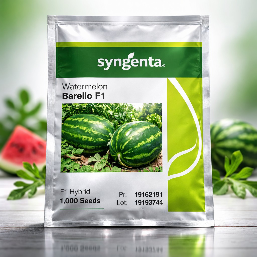 Syngenta Watermelon Barello F1