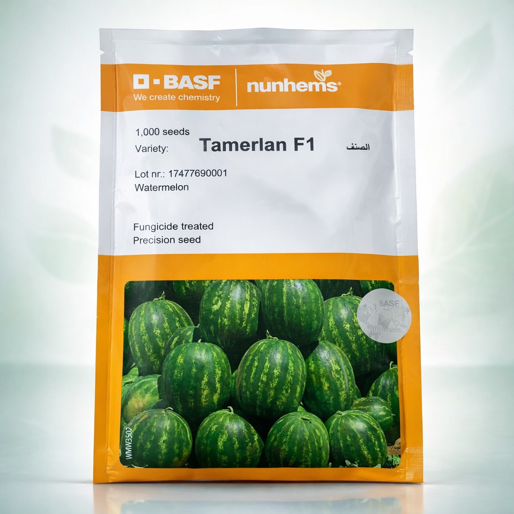 BASF Nunhems Tamerlan F1 Watermelon