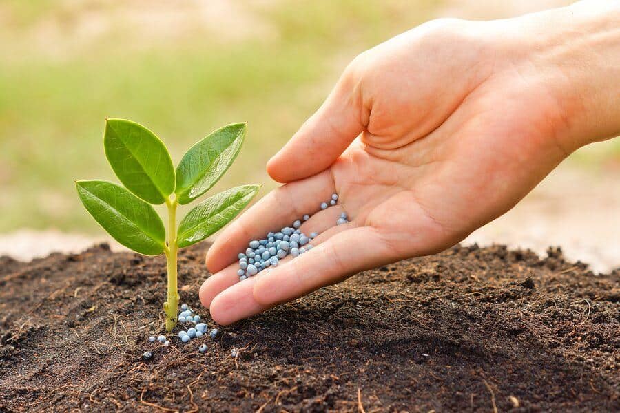 Organic and Chemical Fertilizers for Soil Health
