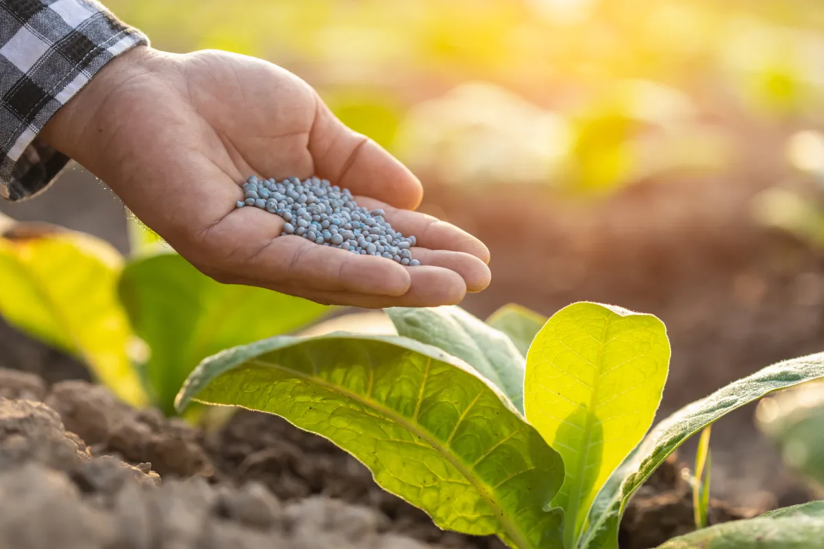 Fertilizer guide